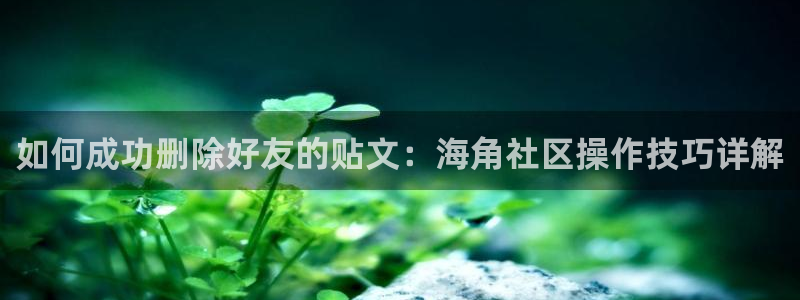 海角社区网页登录版：如何成功删除好友的贴文：海角社区操作技巧详解