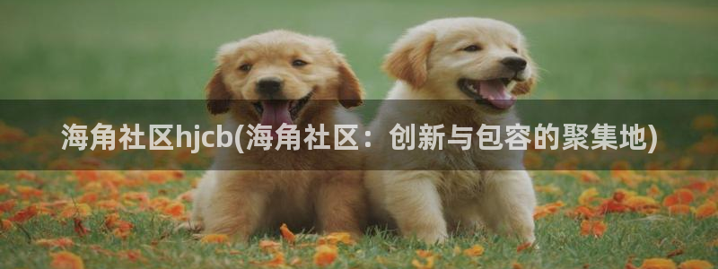 老吴海角社区：海角社区hjcb(海角社区：创新与包容的聚集地)