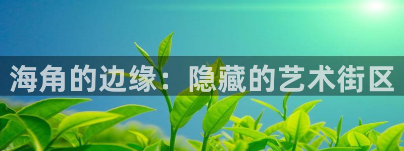 小草社区海角：海角的边缘：隐藏的艺术街区