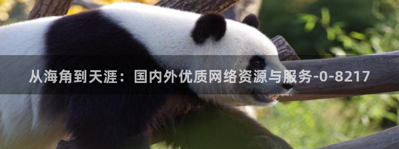 有没有和海角社区一样的：从海角到天涯：国内外优质网络资源与服务