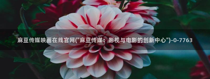 麻豆tv传媒官网：麻豆传媒映画在线官网(\
