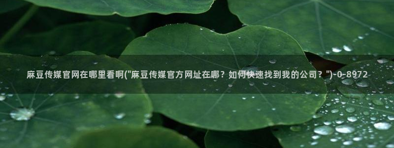 麻豆成人传媒官网：麻豆传媒官网在哪里看啊(\