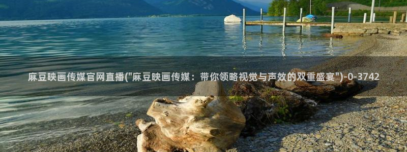 麻豆传媒直播官网小说：麻豆映画传媒官网直播(\