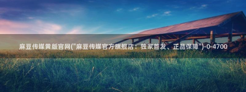 易站麻豆传媒官网：麻豆传媒黄版官网(\