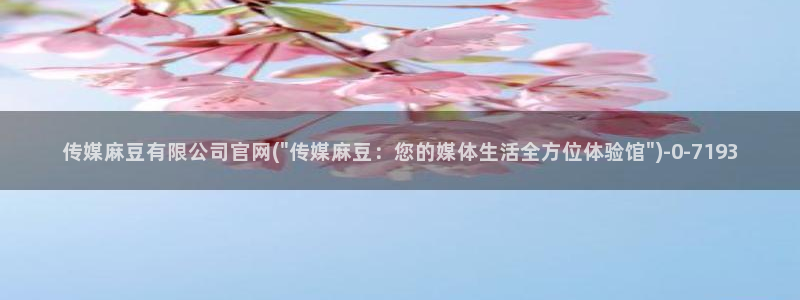 麻豆传媒官网国产：传媒麻豆有限公司官网(\