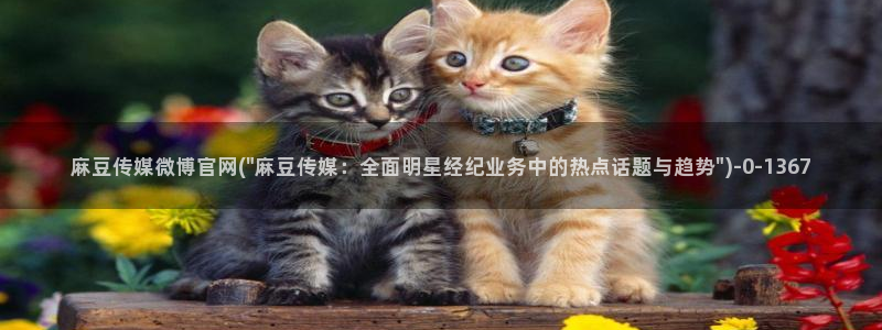 麻豆传媒映化官网：麻豆传媒微博官网(\