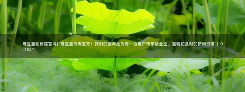 麻豆影视传媒下载官网：麻豆自制传媒官网(\