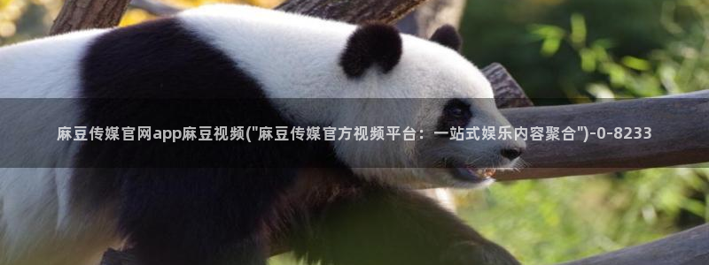 麻豆床传媒官网天美：麻豆传媒官网app麻豆视频(\