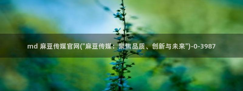 麻豆tv映画传媒官网：md 麻豆传媒官网(\
