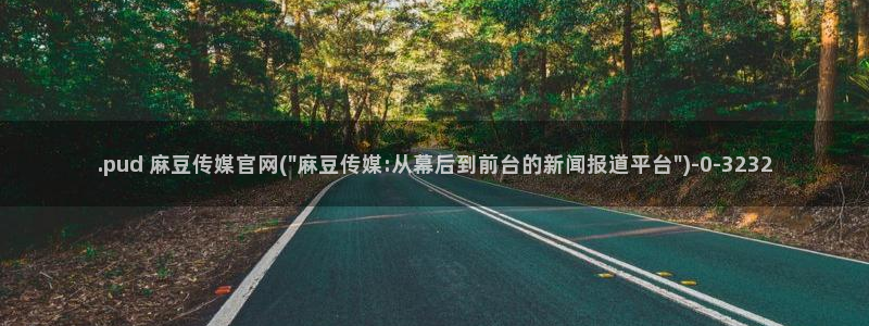 麻豆传媒官网 在线：.pud 麻豆传媒官网(\