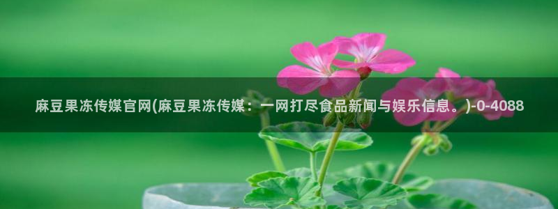 麻豆印象传媒官网：麻豆果冻传媒官网(麻豆果冻传媒：一网打尽食品新闻与娱乐信息。)