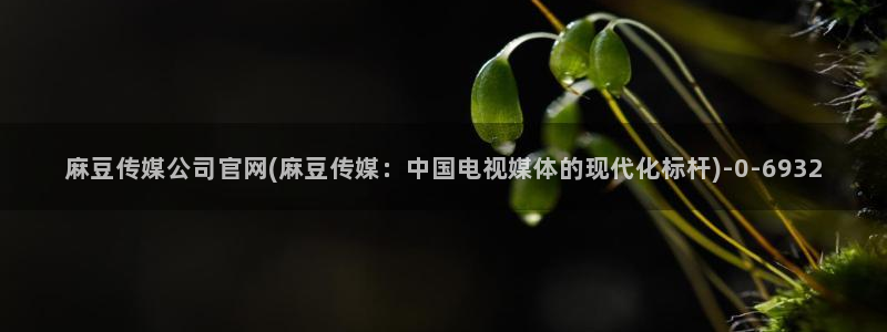 麻豆传媒官网18：麻豆传媒公司官网(麻豆传媒：中国电视媒体的现代化标杆)
