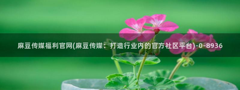 麻豆传媒官网app