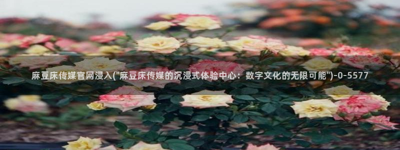 麻豆传媒官网免费观看
