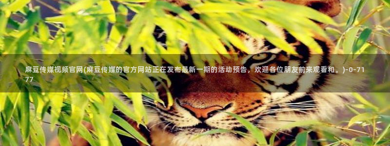 麻豆传媒影视官网