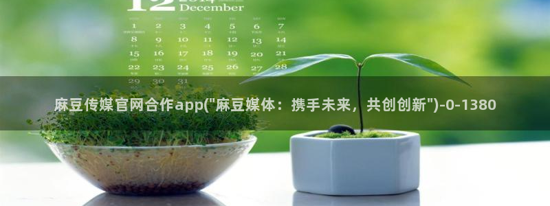 麻豆传媒官网 在线观看