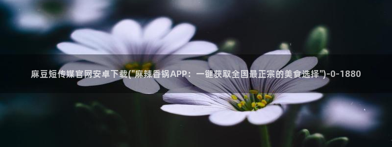 麻豆传媒官网是多少
